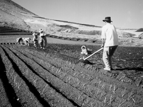 Lanzarote-26JPG.jpeg