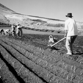 Lanzarote-26JPG