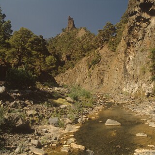tempImageso5Non