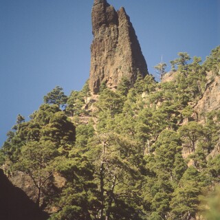 tempImageydGP1x